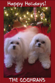 happyholidays.jpg
