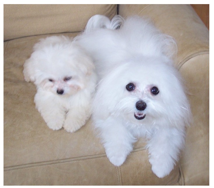 rockyandmia.jpg